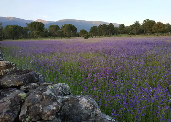 Edificio Reyes * La Adrada